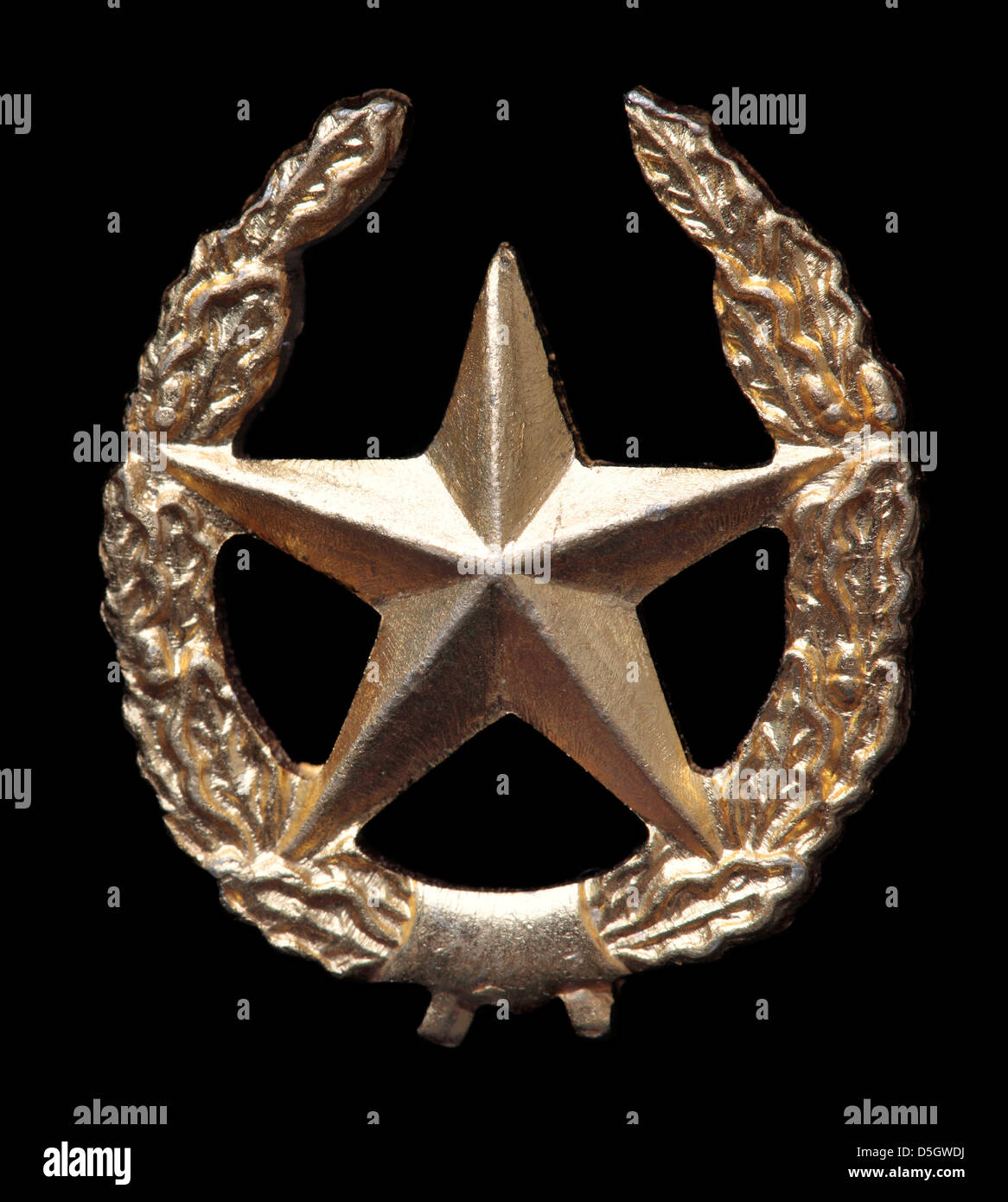 Infanterie Abzeichen, Russland Stockfoto