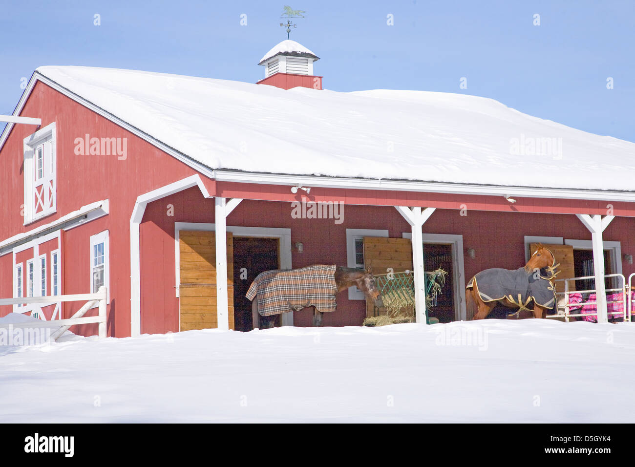 Pferde mit Decken in Red Barn in Schnee, Ma., New England, USA Stockfoto