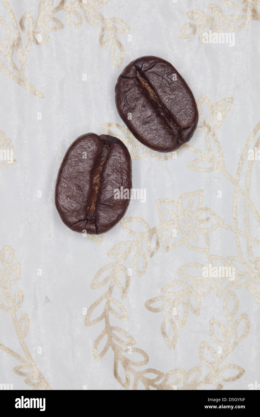 Stillleben von 2 Kaffeebohnen in der Nähe des Studios Stockfoto