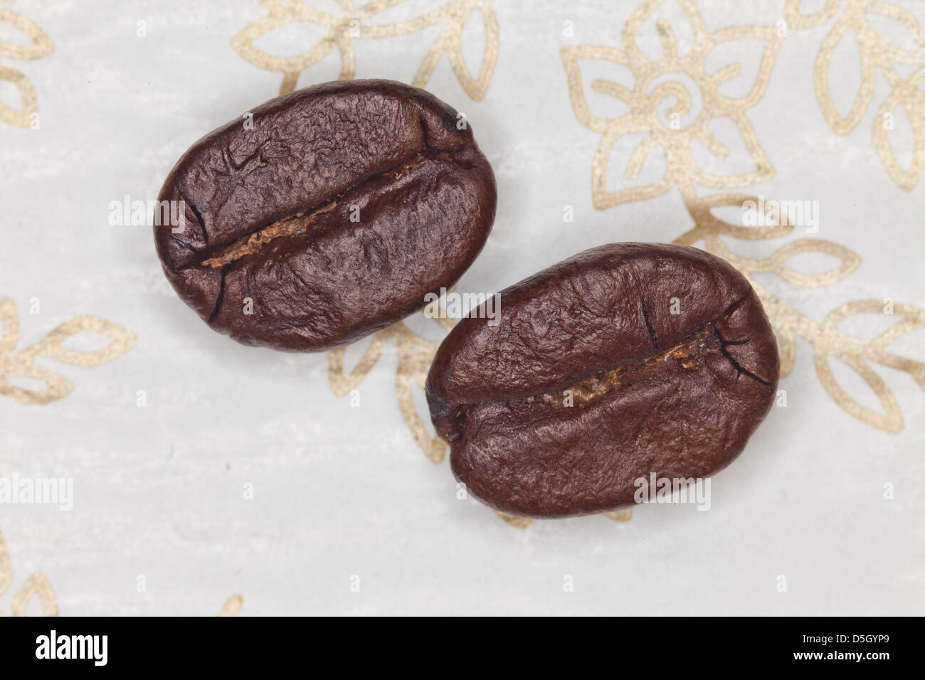 Stillleben von 2 Kaffeebohnen in der Nähe des Studios Stockfoto