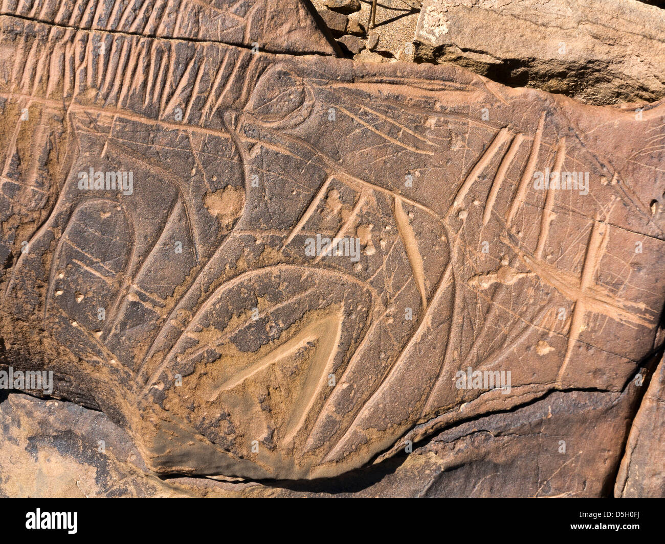 Prähistorische Felszeichnungen am Oued Mestakou auf der Tata Akka Road in Marokko. Stockfoto