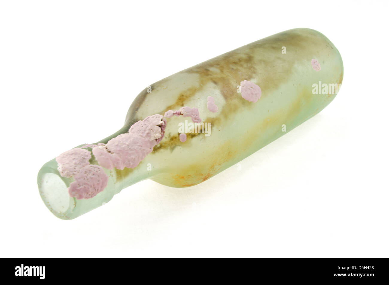 Eine antike Runde Talsohle Flasche gefunden unter dem Meer mit coralline Verkrustungen. Stockfoto