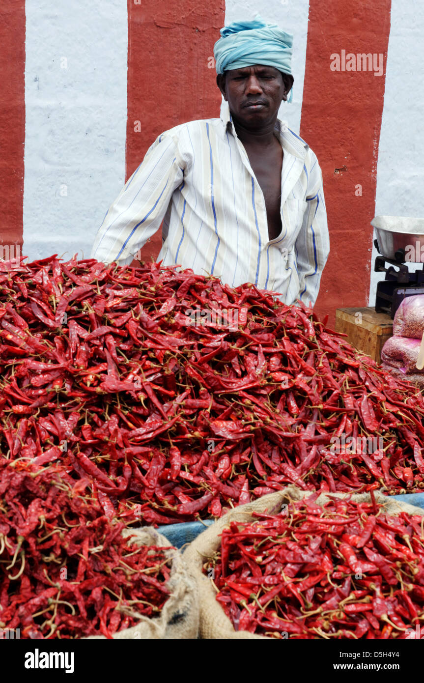 Taschen von roten Chilischoten auf einem indischen Markt Stockfoto