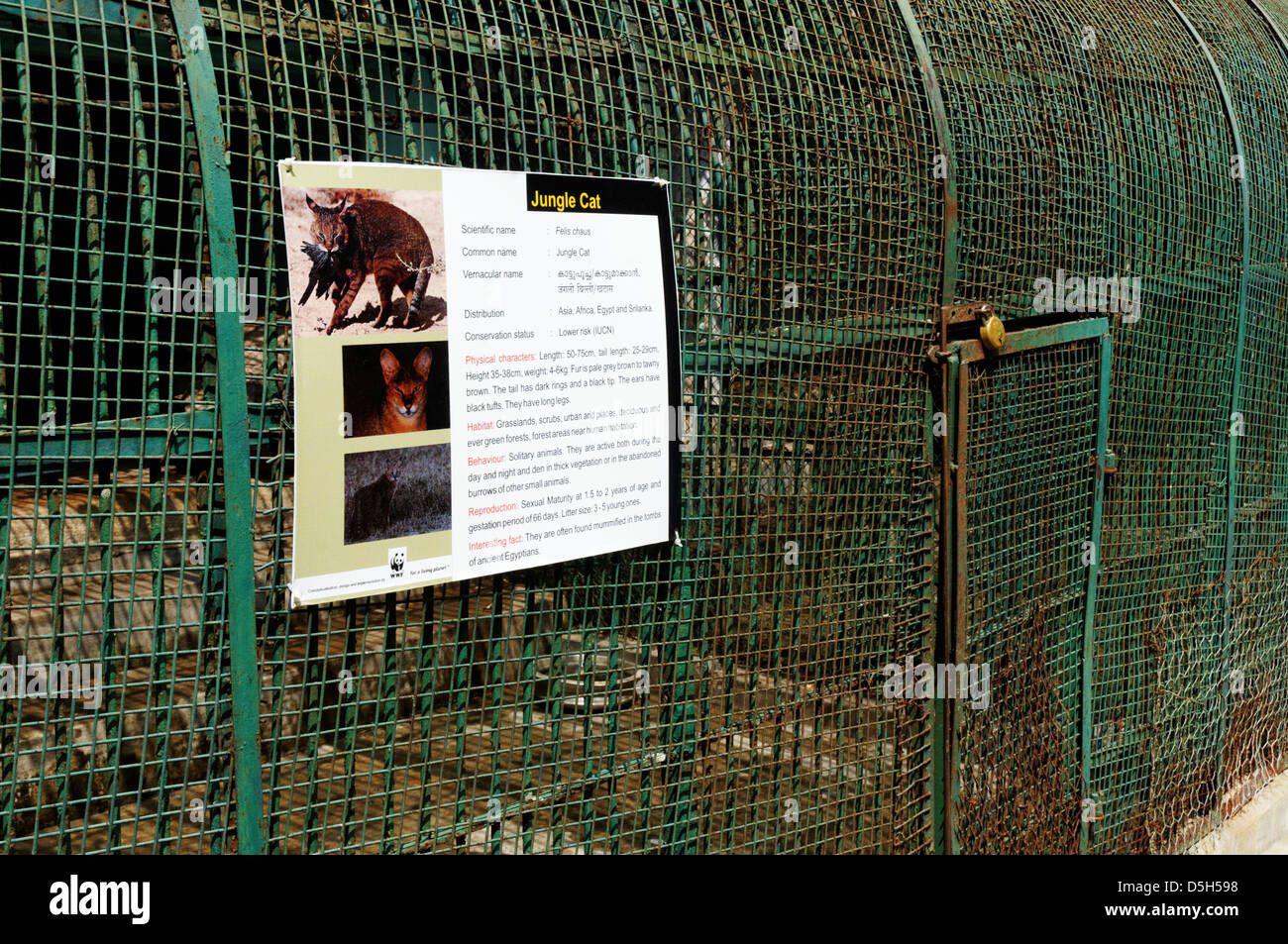 Schreckliche Tierkäfige im Zoo von Trivandrum, Südindien Stockfoto