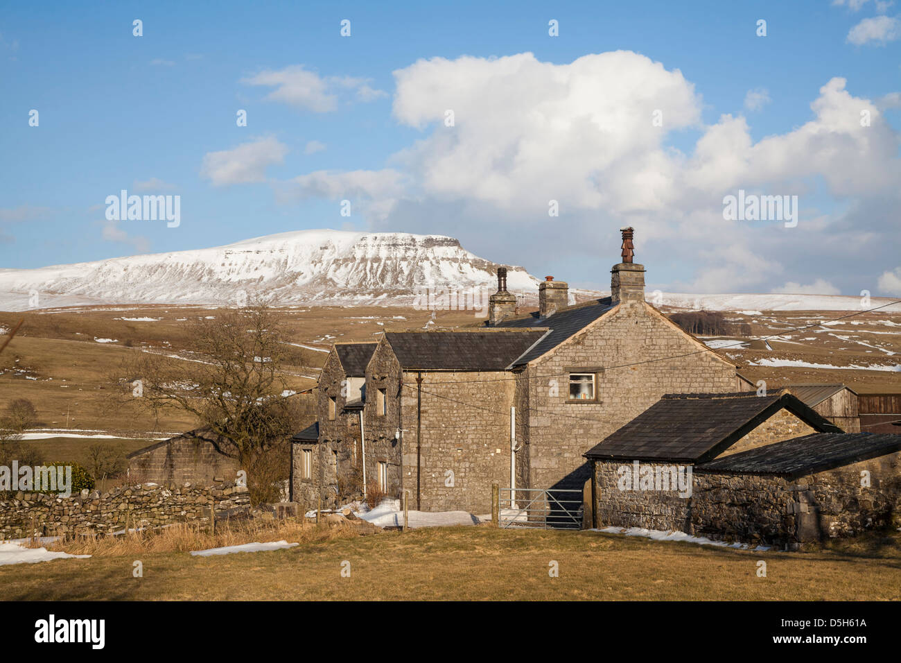 Schneebedeckte Pen-Y-Gent von Horton in Ribblesdale, North Yorkshire. Stockfoto