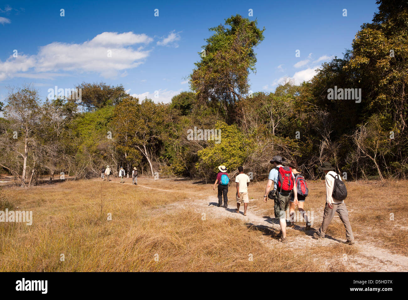 Madagaskar, Betrieb Wallacea, Mariarano, Studenten, die zu Fuß in Richtung Mariarano River Stockfoto