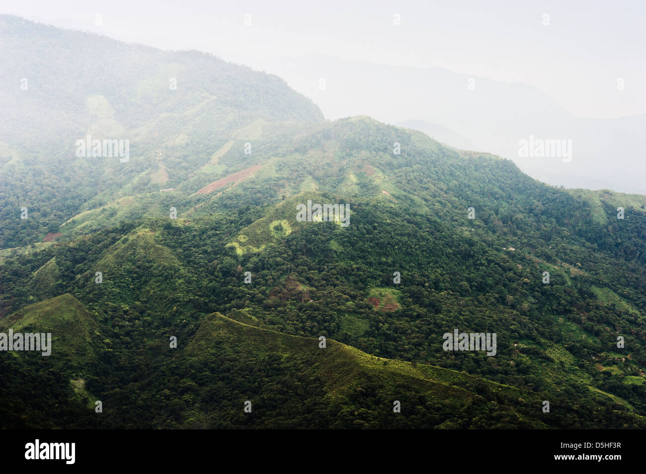 Kolumbien - Sierra Nevada de Santa Marta - Felder im Regenwald Stockfoto