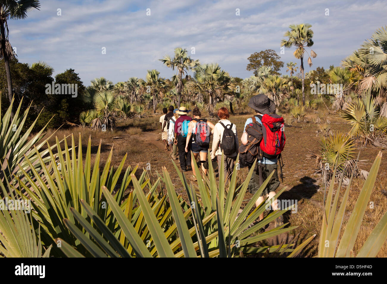 Madagaskar, Betrieb Wallacea, Mariarano, Studenten auf Spur zum Mariarano River Stockfoto