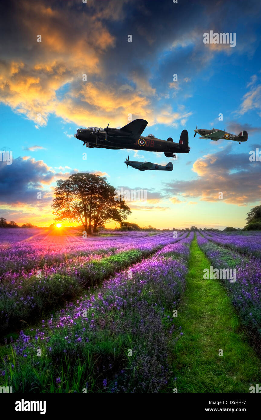Weltkrieg zwei Flugzeuge fliegen über Lavendel Sommerwiese Stockfoto