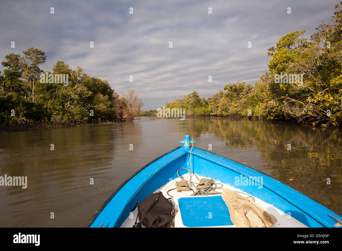 Madagaskar, Betrieb Wallacea, Bug Mariarano Forschung Flussschiff Stockfoto