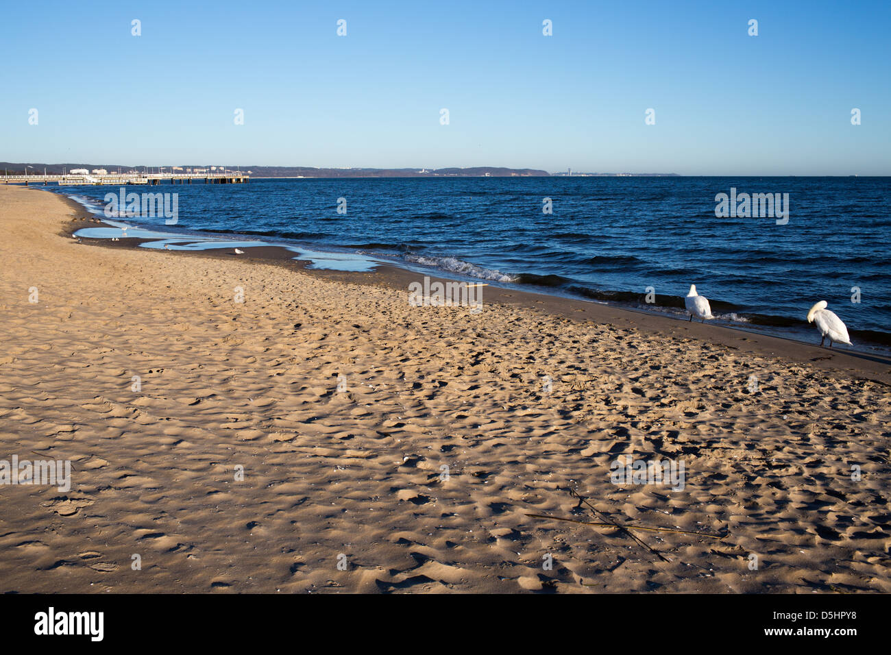 Polnische Ostseeküste am Strand von Gdansk Stockfoto