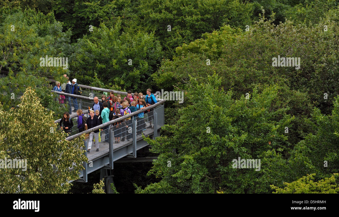 Viusitors zum Nationalpark Hainich gehen ein Baumwipfelpfad in der Nähe von Bad Langensalza, Deutschland, 3. August 2010. Die 44-Meter-hohen Weg erstreckt sich über 500 m. Foto: Martin Schutt Stockfoto