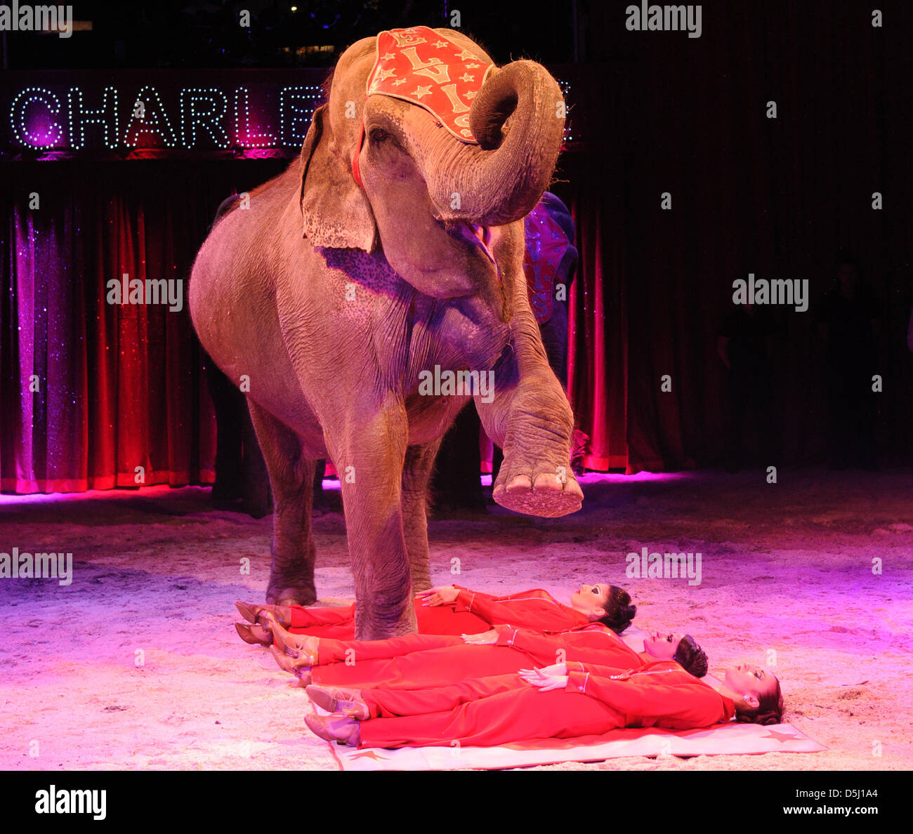 Ein Elefant geht über drei Frauen im Zirkus Charles Knie in Hamburg, Deutschland, 20. September 2012. Der Zirkus ist bis zum 14 Oktober in Hamburg. Foto: Angelika Warmuth Stockfoto