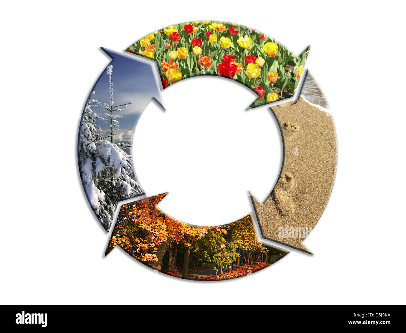 Vier-Pfeil Kreis mit überlagerten Bilder, die vier Jahreszeiten des Jahres repräsentieren Stockfoto