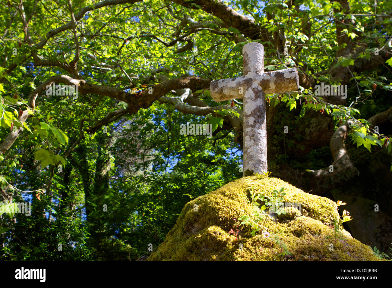 PE da Serra Gemeinde Sintra Portugal Reiseziel Stockfoto