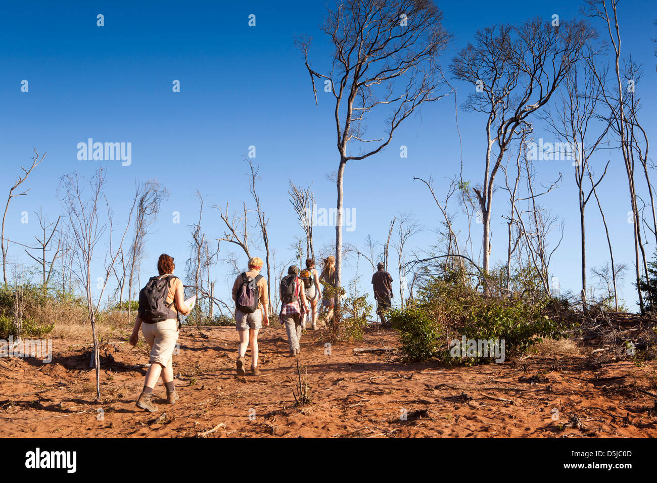 Madagaskar, Betrieb Wallacea, Matsedroy, Schule Schüler Feld Studie zu Fuß Stockfoto