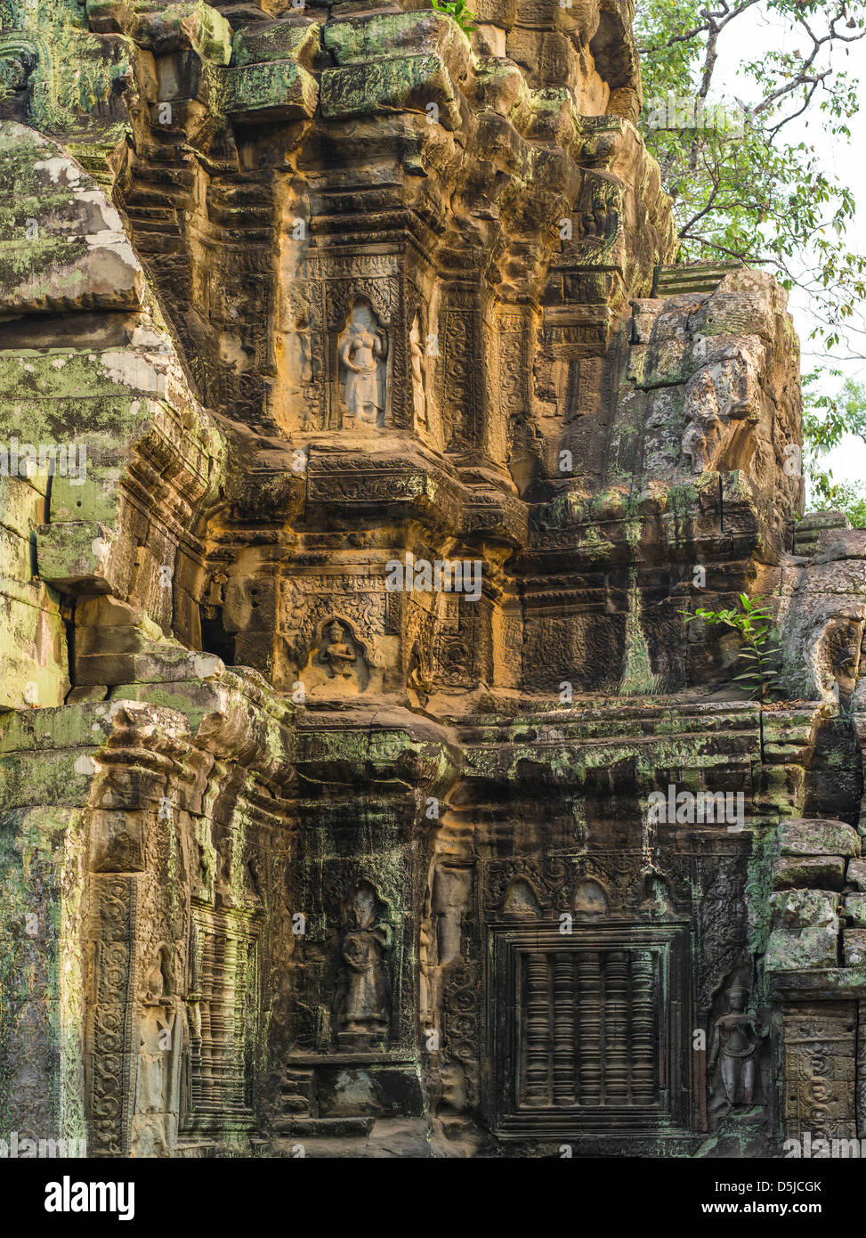 Tempel-Fassade Detail. Ta Prohm. Angkor archäologischer Park. Siem Reap. Kambodscha Stockfoto
