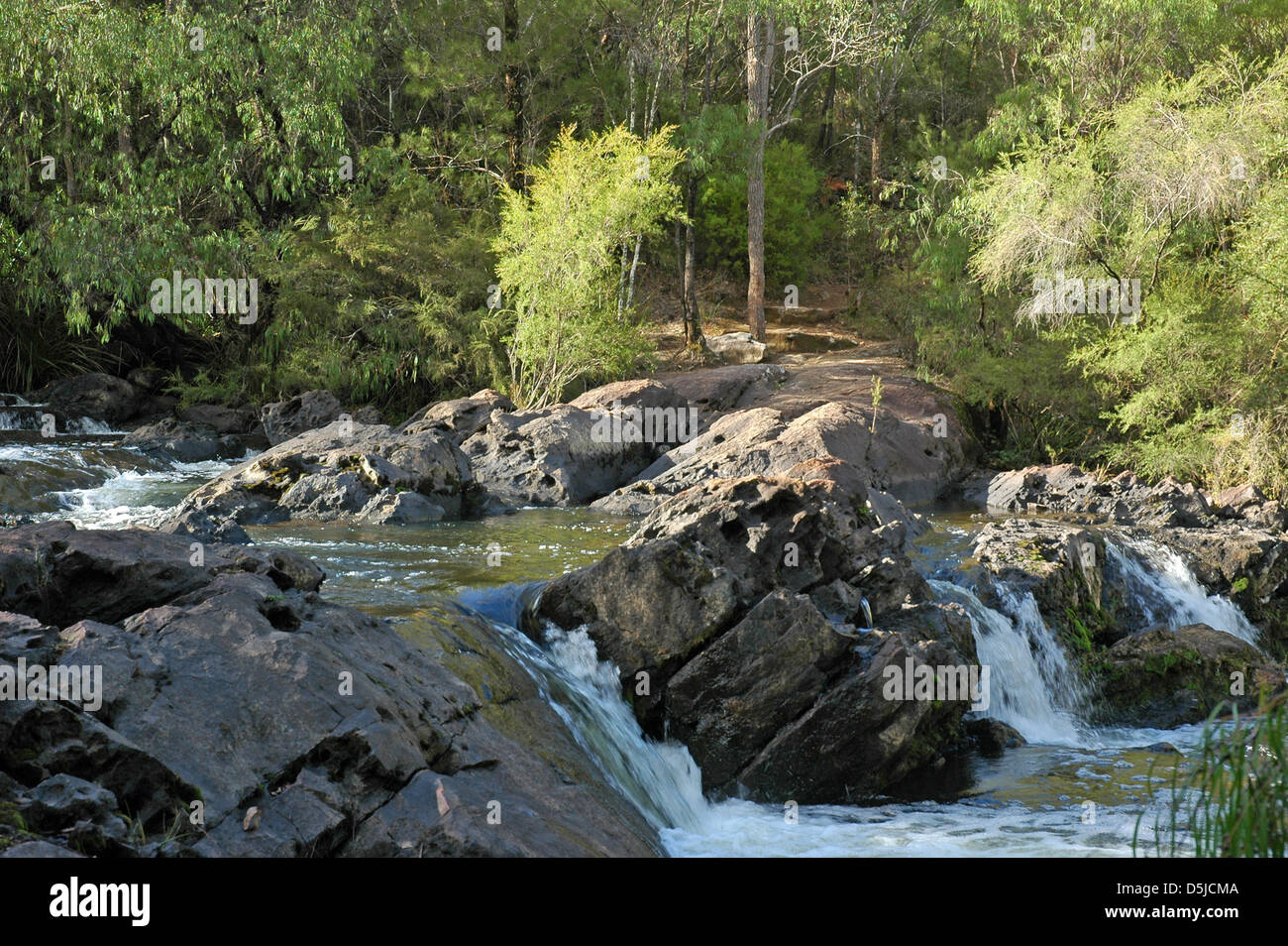 Die Kaskaden Lefroy Brook Pemberton Westaustralien. Stockfoto