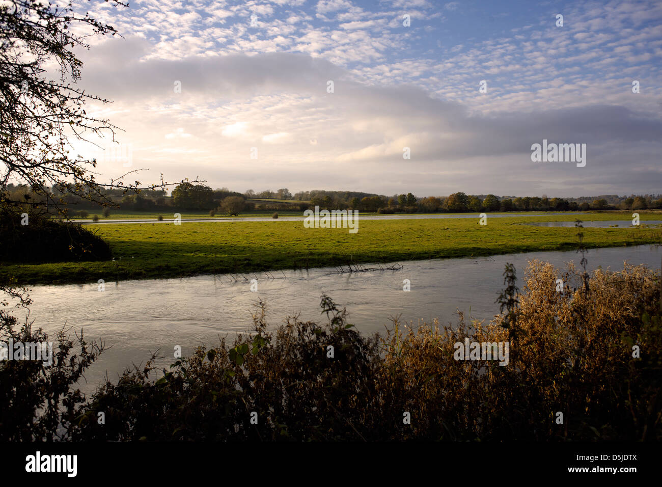 Flut, Wiese und Fluss Cherwell Upper Heyford Oxfordshire England UK Cherwell Valley Weiden und Wiesen herbstlich Herbst Stockfoto