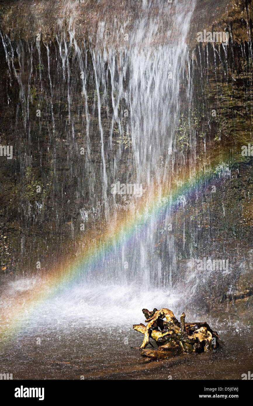 Regenbogen gegründet Spray von Wasserfall in die Schlucht Clydach, Wales, UK Stockfoto