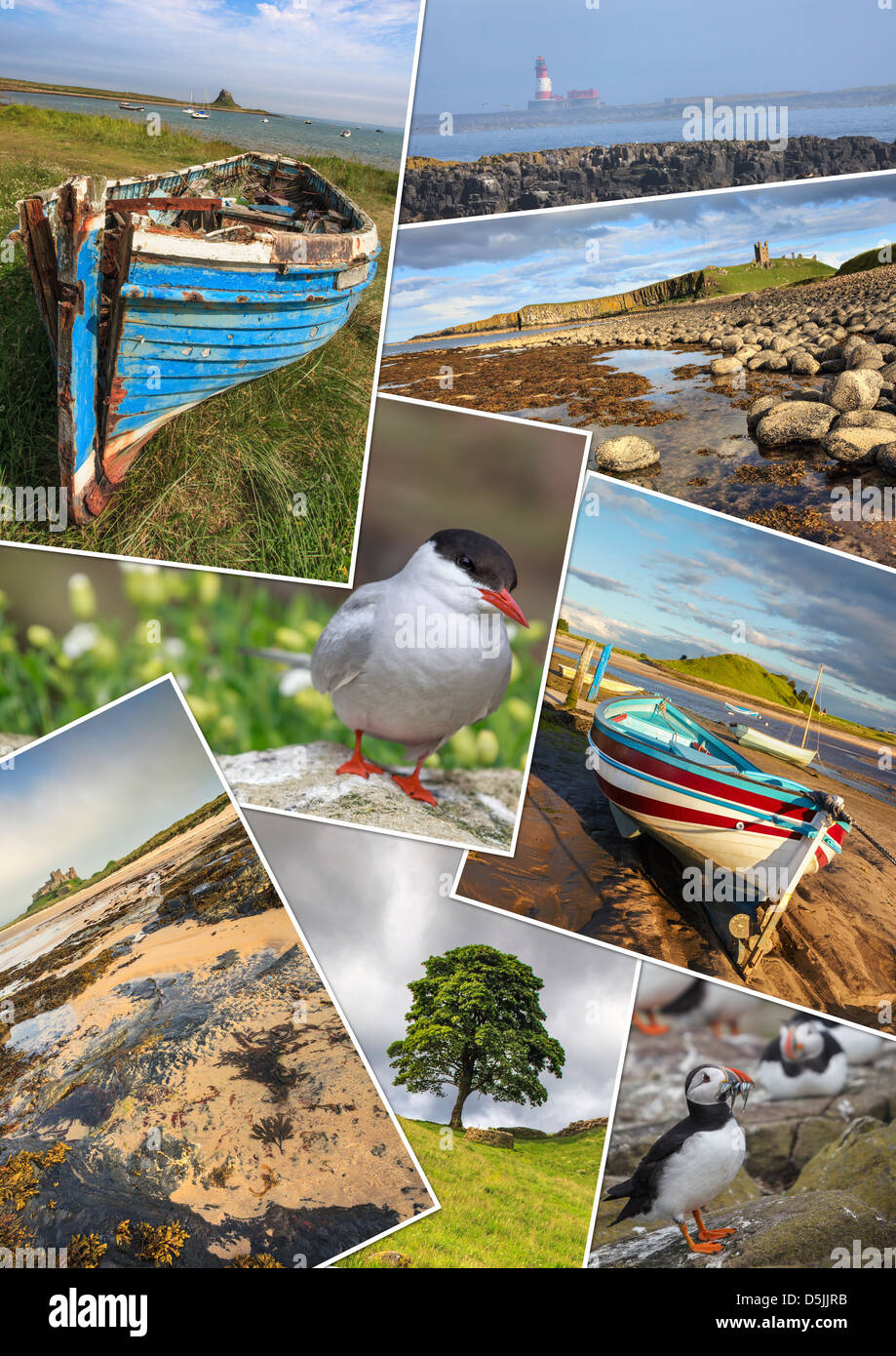 Eine Montage von 8 Bildern eingefangen in Northumberland Stockfoto