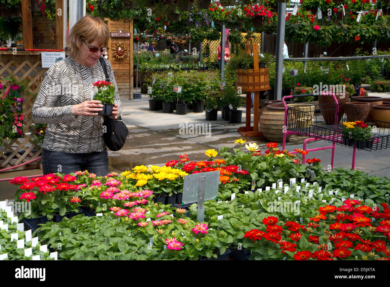 Kunde Einkaufen für Blumen in einer Gärtnerei in Jerome, Idaho, USA. HERR Stockfoto