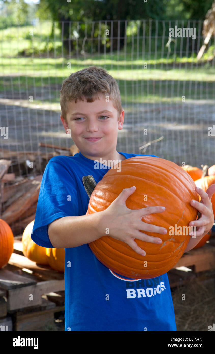 Acht Jahre alter Junge Wahl einen Kürbis für Halloween in der Nähe von Tampa, Florida, USA. Stockfoto