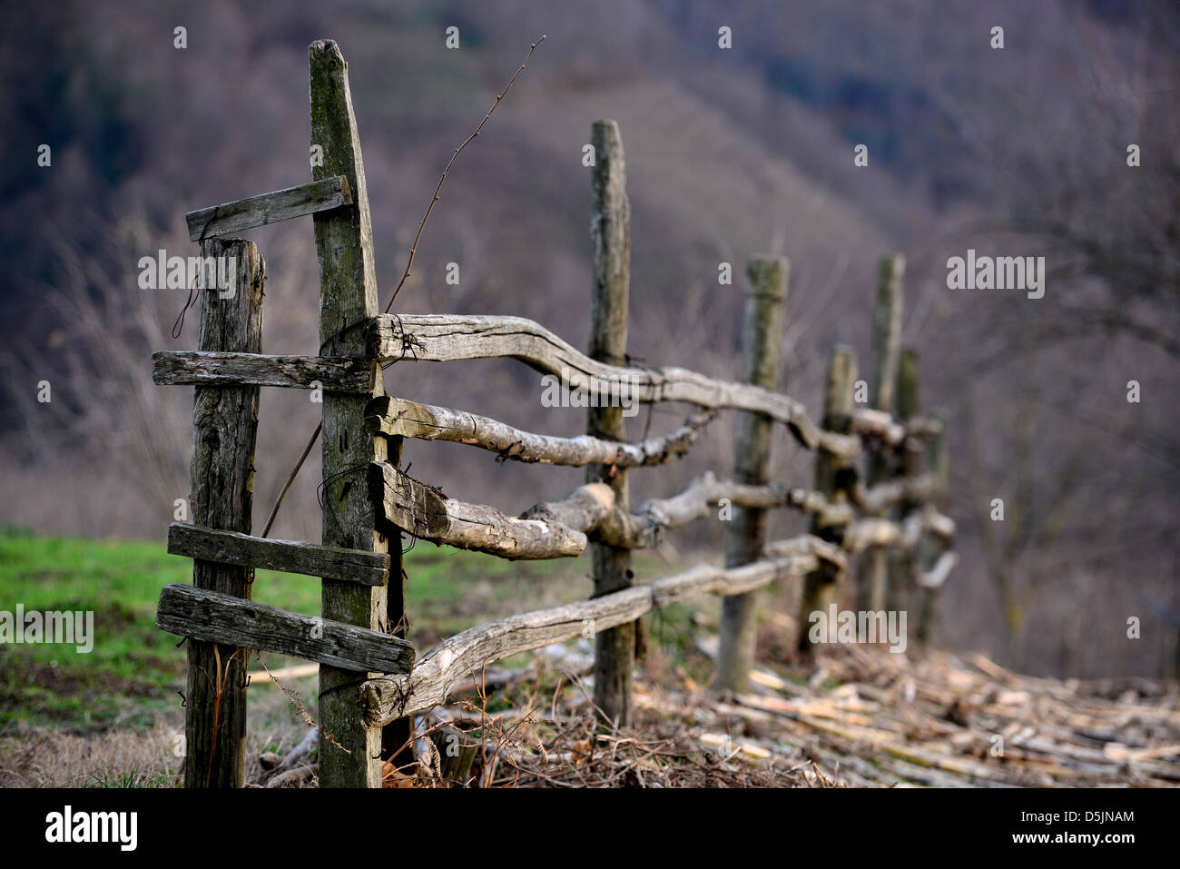 Zaunlinie Landschaft blattlosen Bäume im Hintergrund Stockfoto