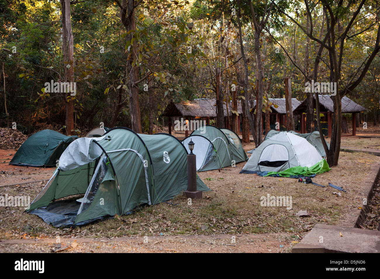 Madagaskar, Parc National d'Ankarafantsika Campingplatz im Morgengrauen Stockfoto