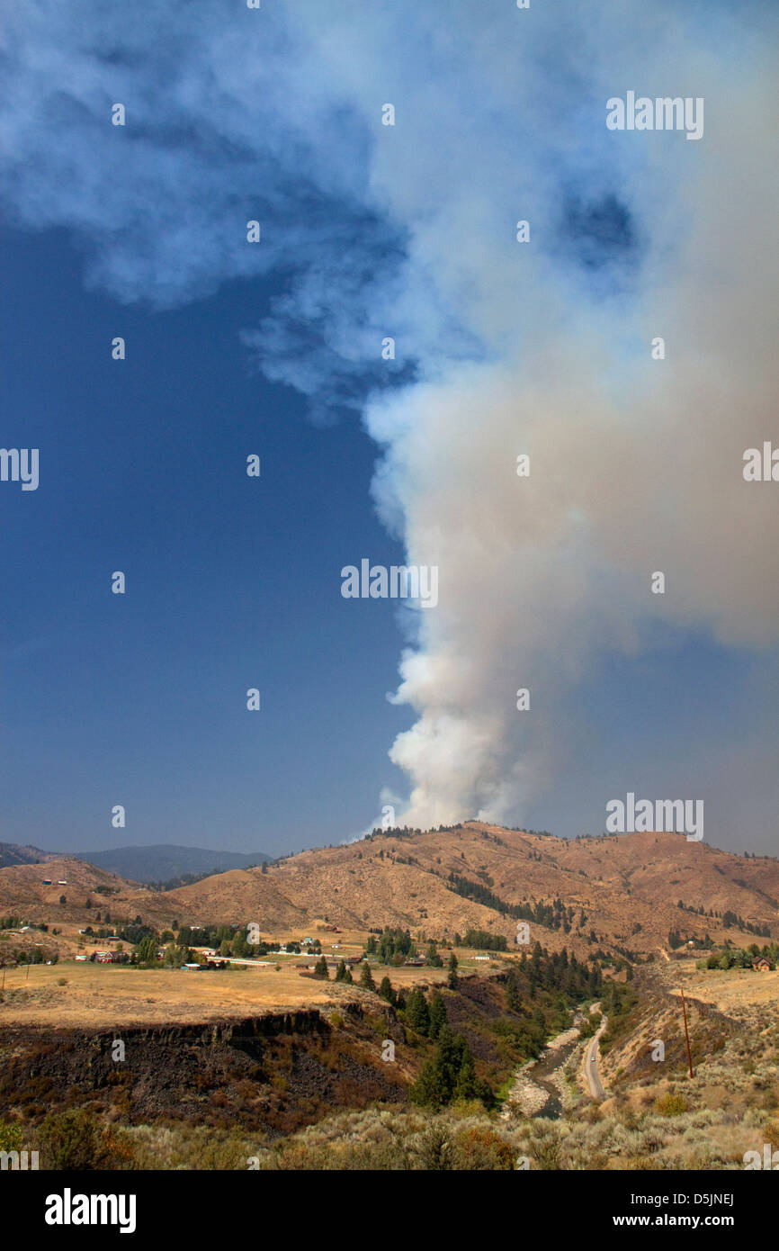 Rauchfahne von einem Waldbrand in Boise County, Idaho, USA. Stockfoto