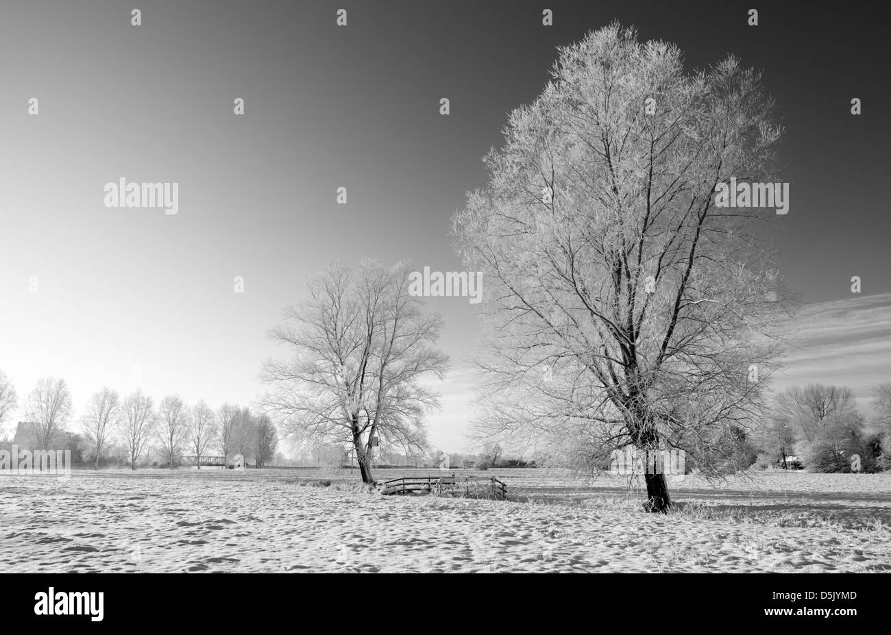 Winter in der Waveney Valley, Norfolk Stockfoto