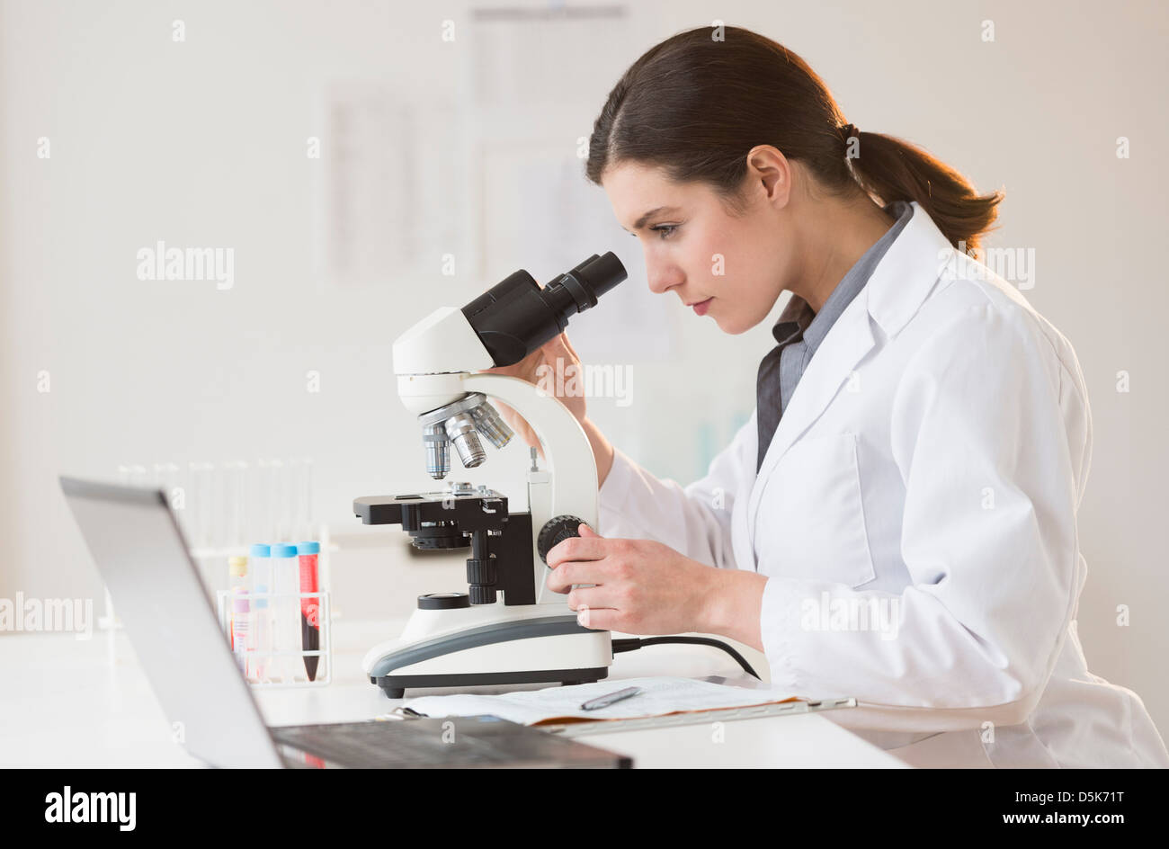 Wissenschaftler auf der Suche durch Mikroskop Stockfoto