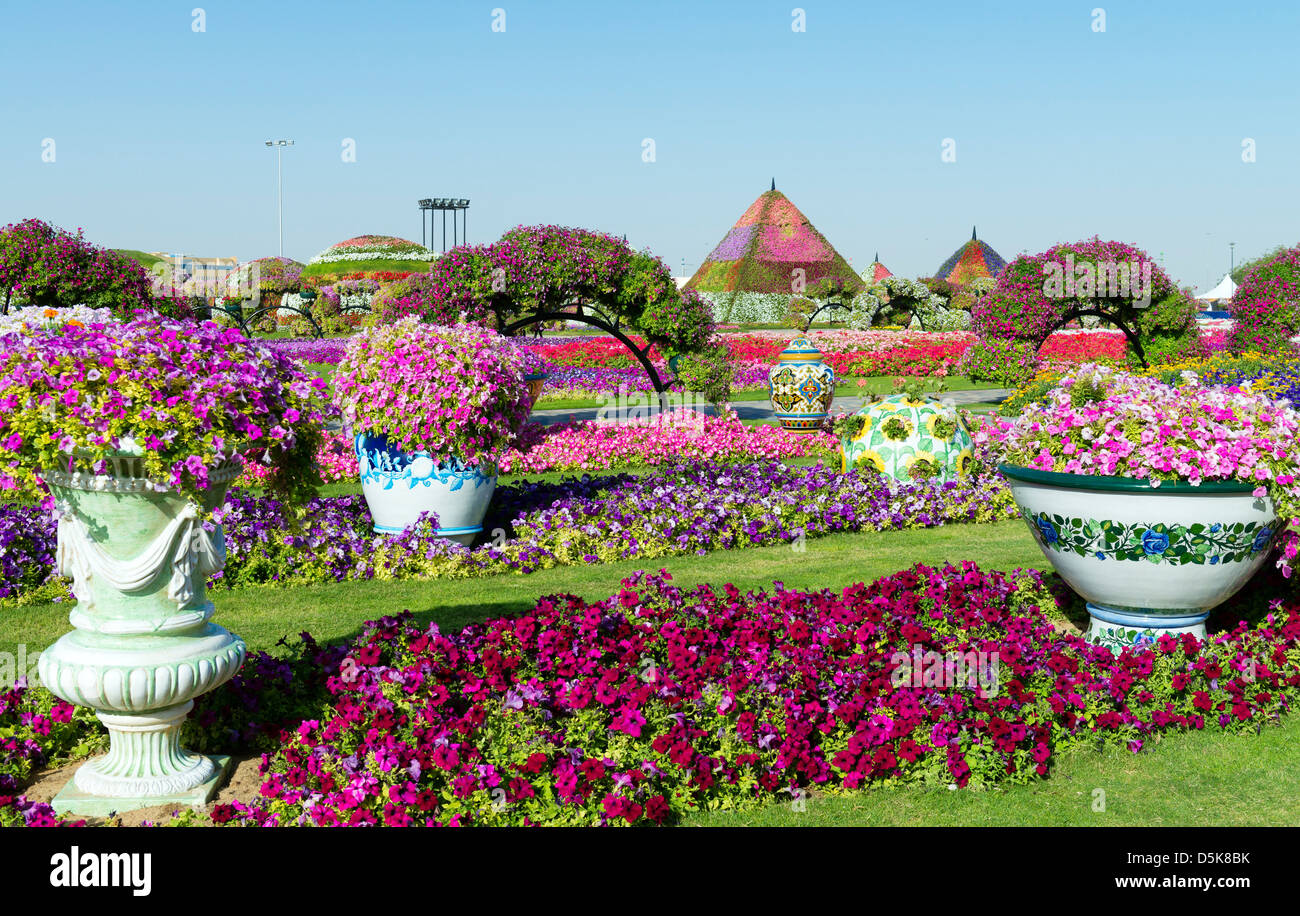 Miracle Garden in Dubai VAE, eröffnet im März 2013 und beanspruchte, weltweit größten Blumengarten Stockfoto
