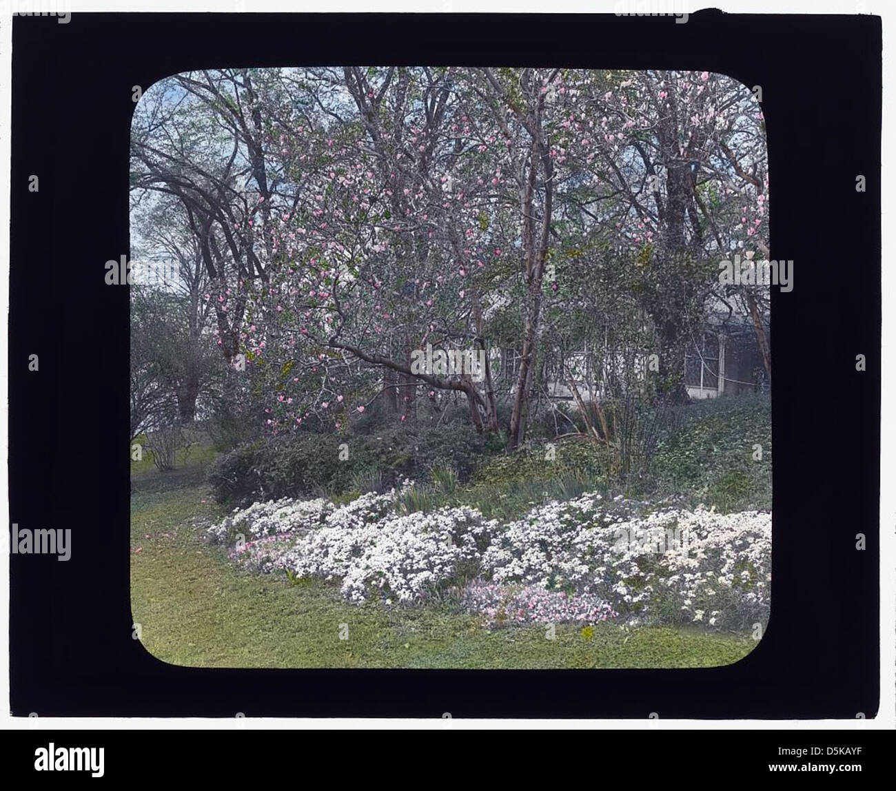 Das Herrenhaus Lyndhurst in Tarrytown, New York, war die Residenz von Finley Johnson Shepard. Dieses historische Haus spiegelt die amerikanische Architektur des 19. Jahrhunderts wider und liegt an einer malerischen Lage am Hudson River. Stockfoto