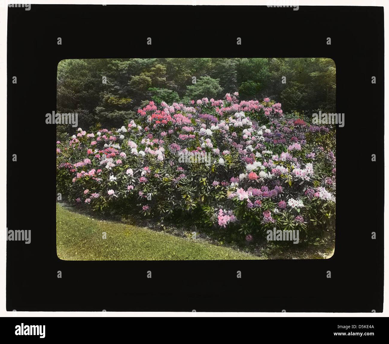 Dieses Foto zeigt das George Fisher Baker House in Tuxedo Park, New York, ein prominentes Beispiel für Wohnarchitektur aus dem frühen 20. Jahrhundert in einer angesehenen Gemeinde. Stockfoto