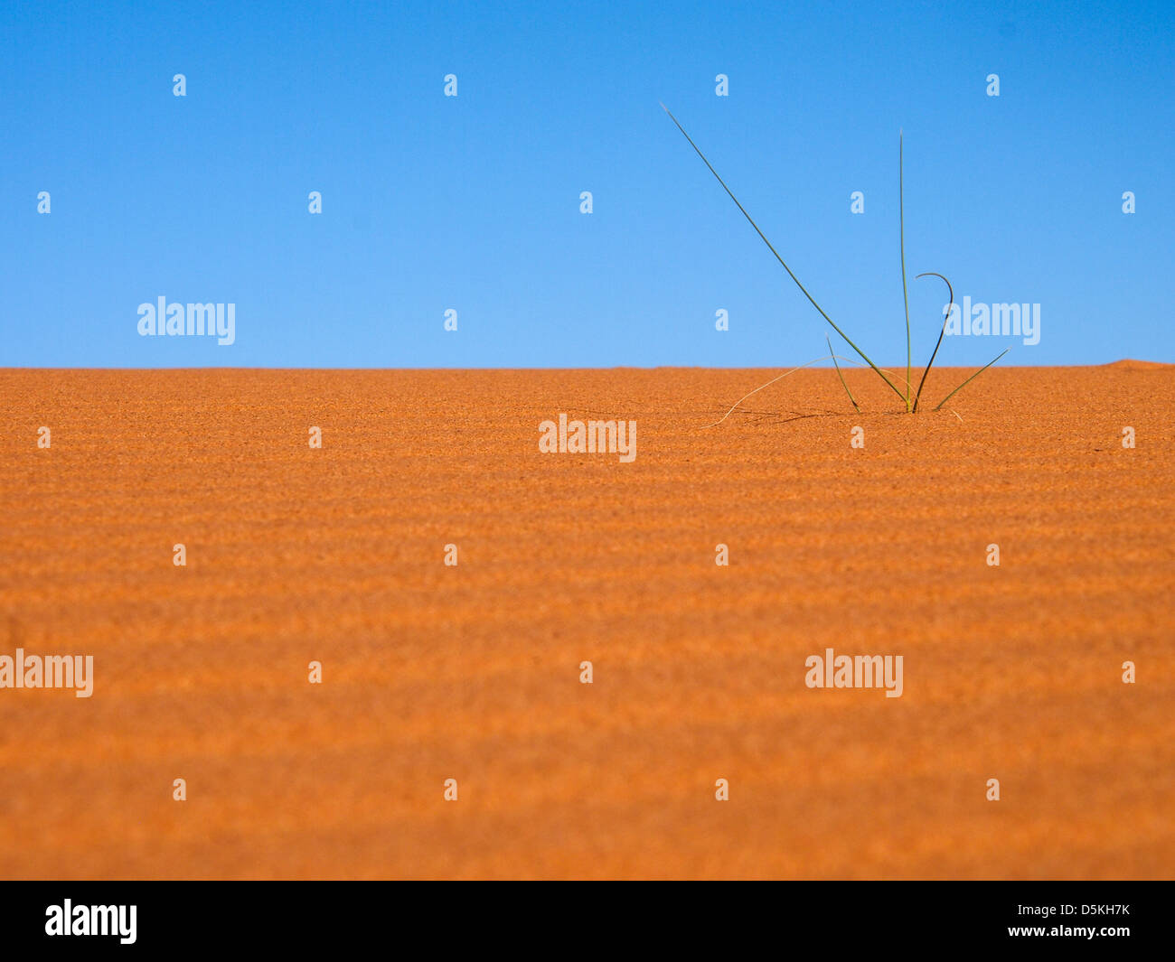 Sanddünen des Erg Chebbi in der Sahara Wüste, Marokko. Stockfoto