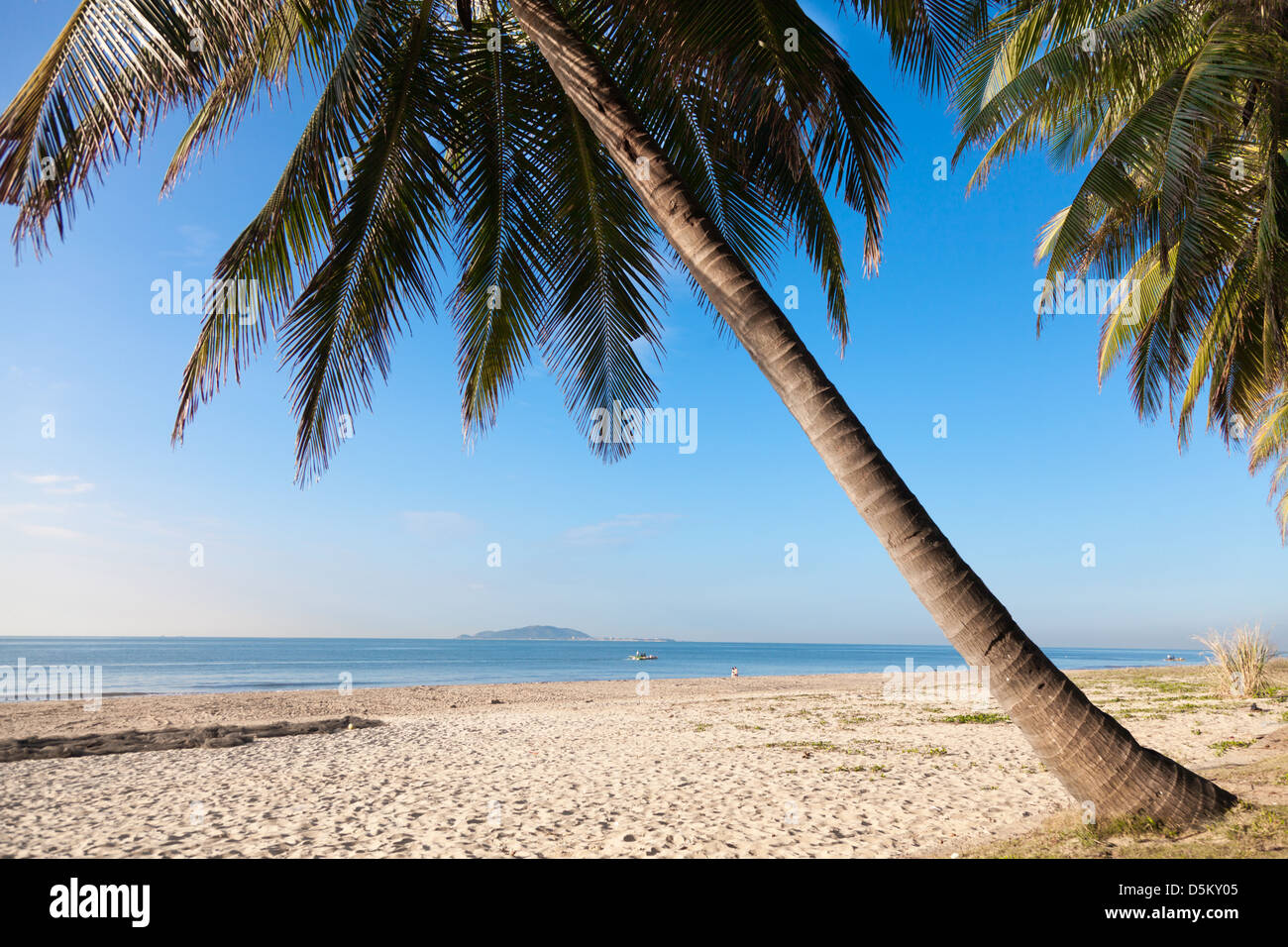Palmen, Strand, Sommer, Meer, Baum, Blue China Hainan Stockfoto