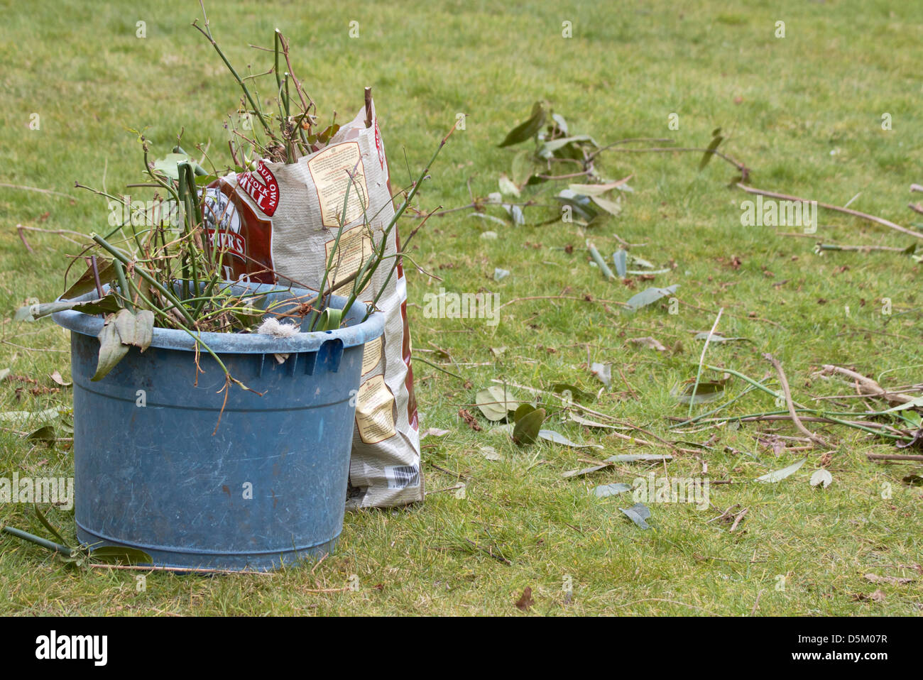 Gartenabfälle im blauen Eimer und Plastiktüte Stockfoto