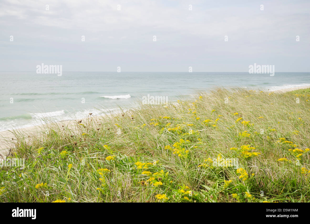 USA, Massachusetts, Nantucket Island, Blick auf Sandstrand Stockfoto