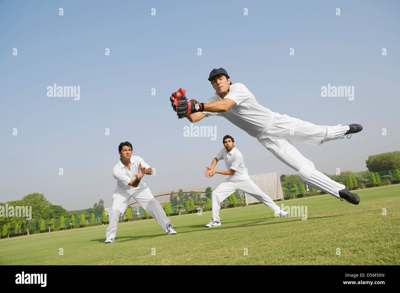 Wicketkeeper Fang Cricketball Stockfoto