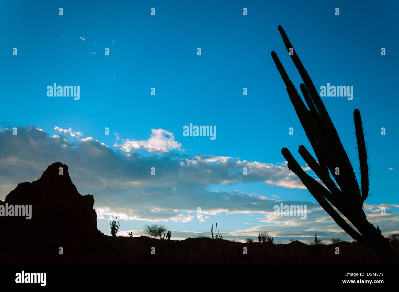Weiten Blick auf eine schöne Silhouette einer Wüstenlandschaft mit einem tiefblauen Himmel Stockfoto