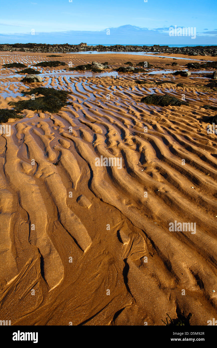 Muster der Sand am Strand von Airbow Punkt in der Nähe von Kingsbarns auf der Küste von Fife Schottland Stockfoto