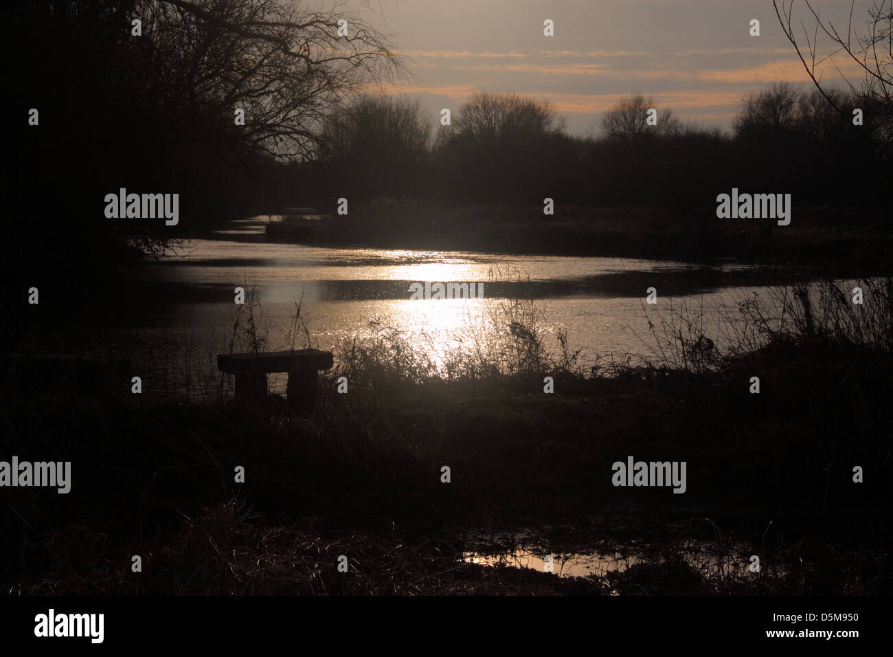 Eine Sitzbank neben dem Fluss Avon in Stratford-upon-Avon, Warwickshire, England, mit Sonnenlicht glitzern auf dem Wasser Stockfoto