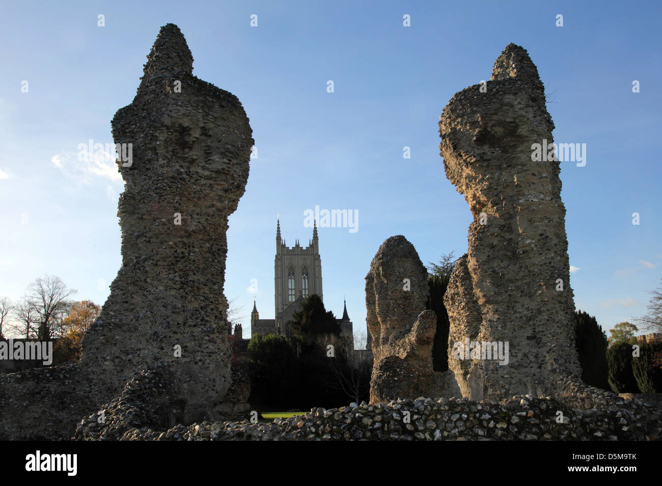 St Edmunds Cathedral in Bury St Edmunds, Suffolk, betrachtet durch die Ruinen der alten Abtei Stockfoto