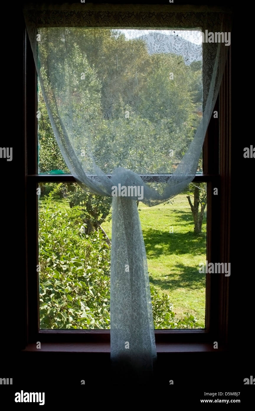 Ein altes Bauernhaus-Fenster mit Gardinen in einen Knoten gebunden ist  Silhouette gegen die Apfelplantage außerhalb Stockfotografie - Alamy