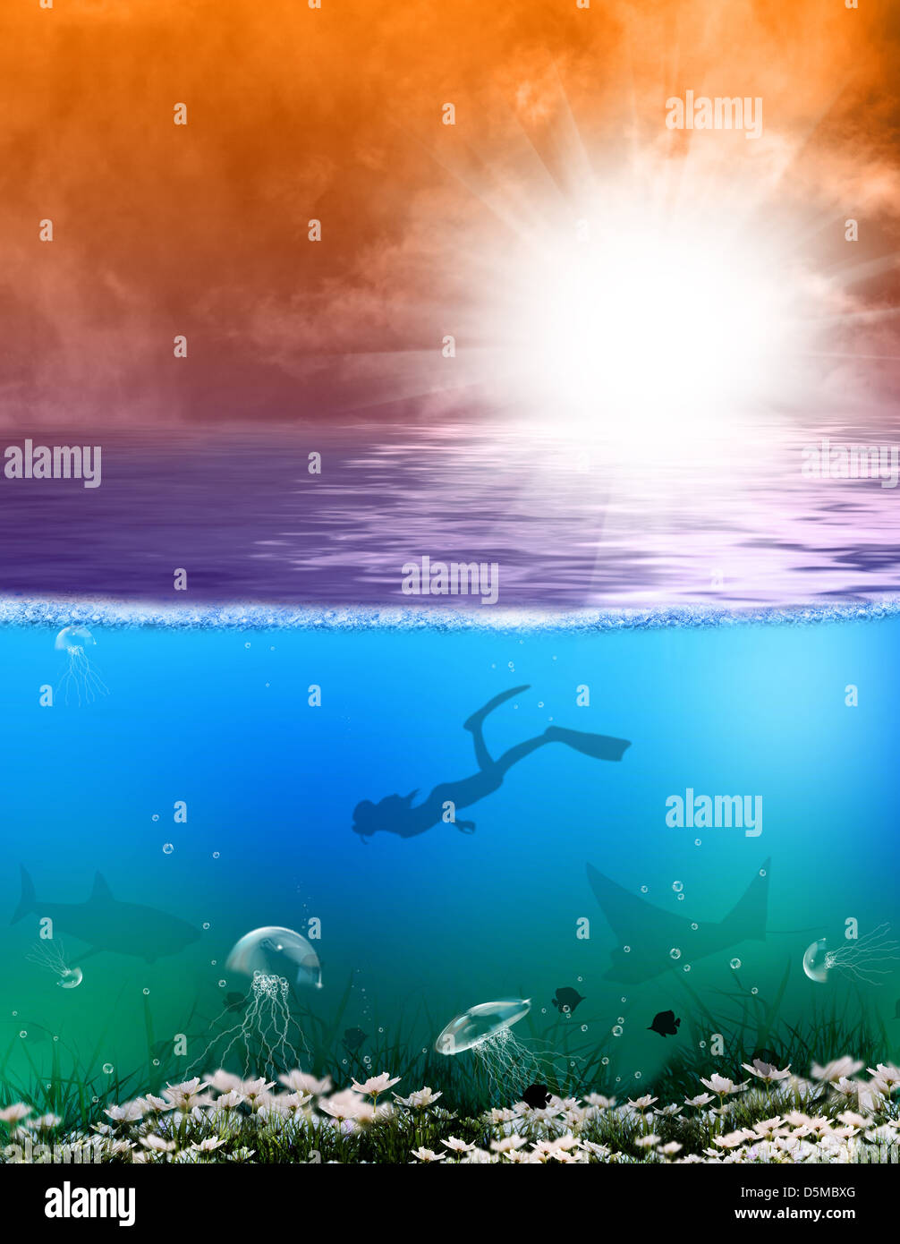 Diving.Underwater Leben der Meere und Ozeane Stockfoto