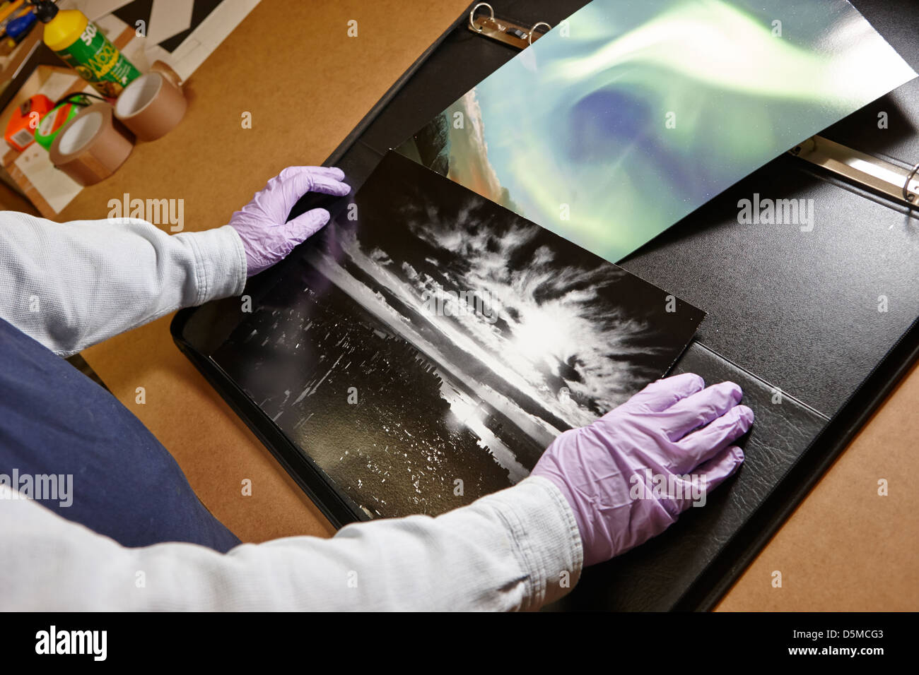 Einrahmer tragen Latexhandschuhe Griffe fotografische Abzüge in ein Framing-workshop Stockfoto