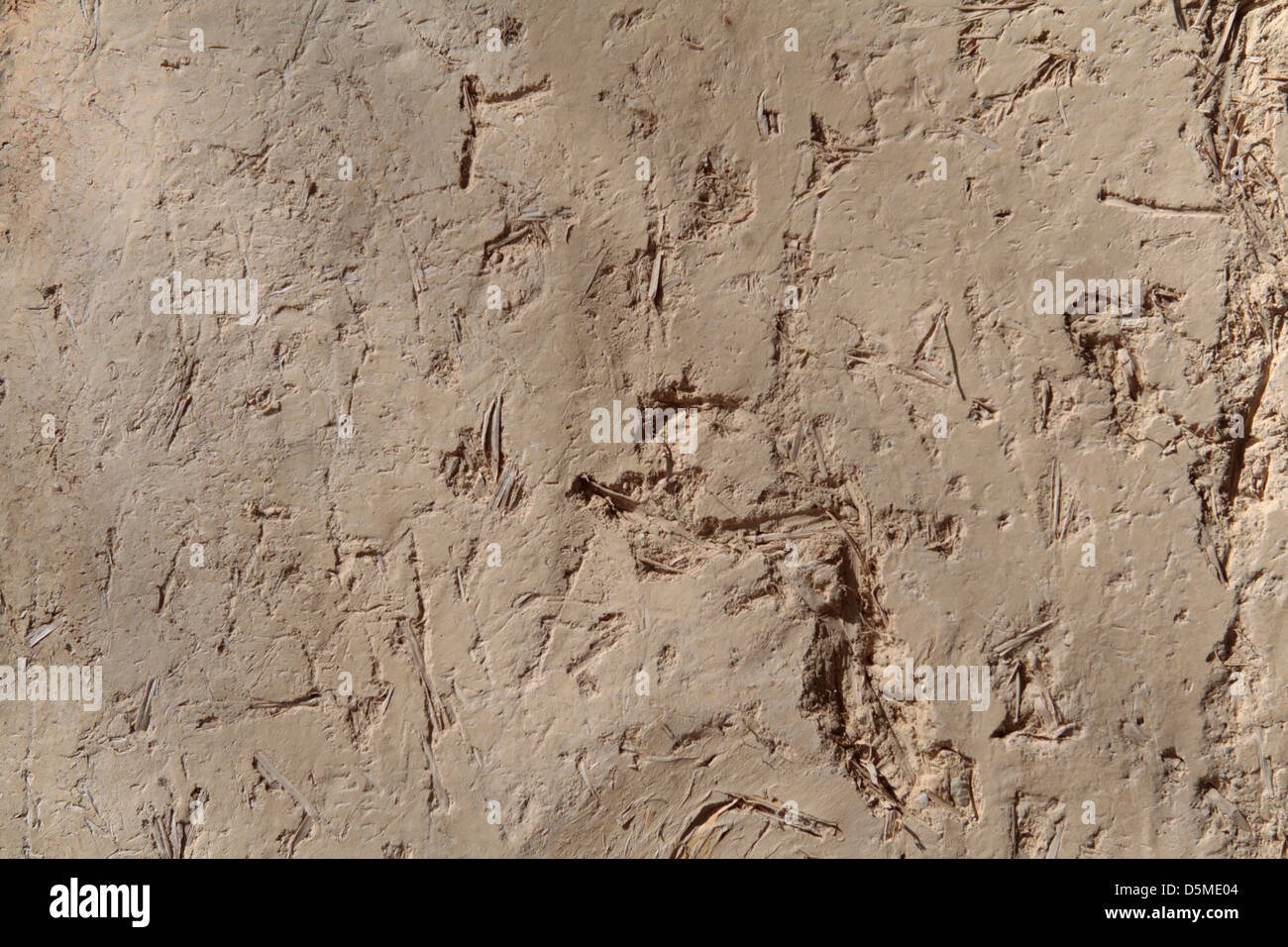Schlamm-Mauer im museum Stockfoto