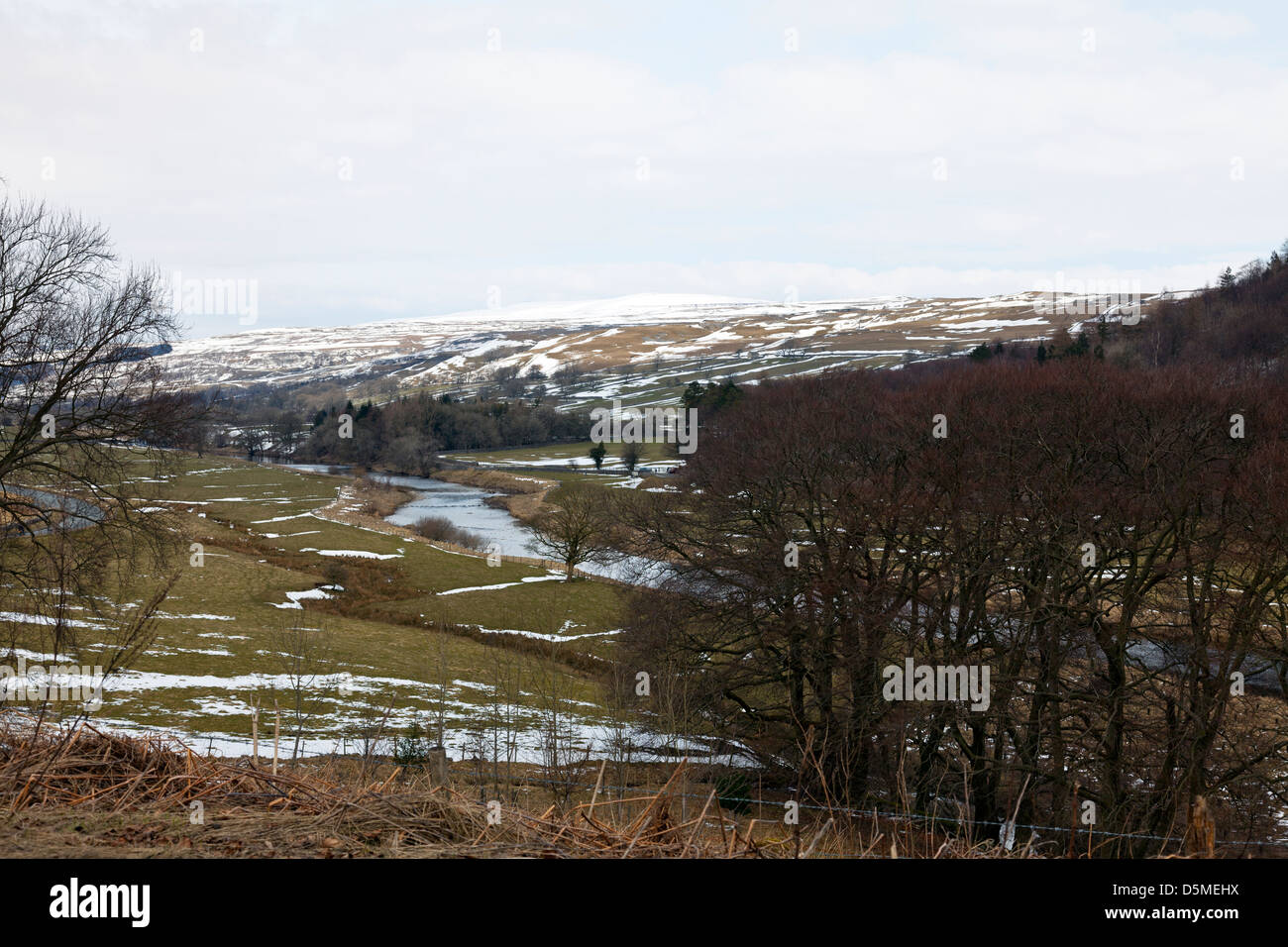 Yorkshire Dales Landschaft, Fluss Ure, UK, England Stockfoto