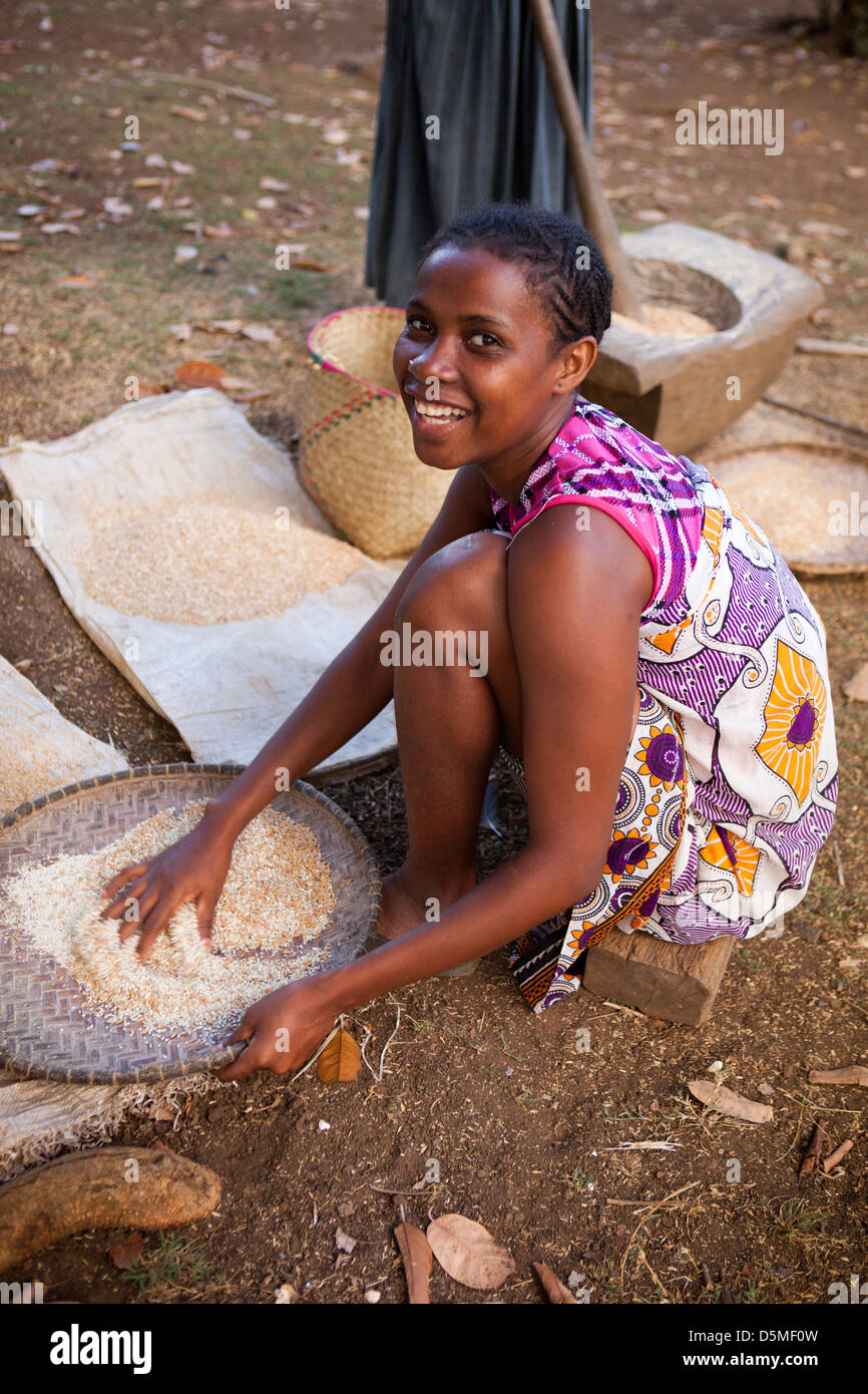 Madagaskar, Nosy Be, Anjiamarango, Fischerei Dorf Frau Sortierung Reis vor dem Stampfen Stockfoto